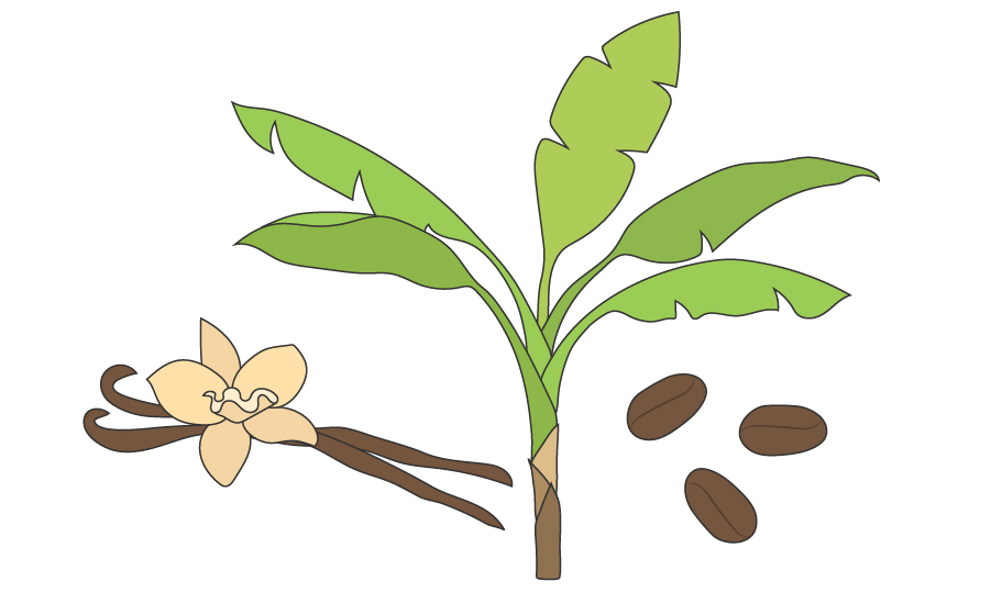 Hållbara tropiska odlingar