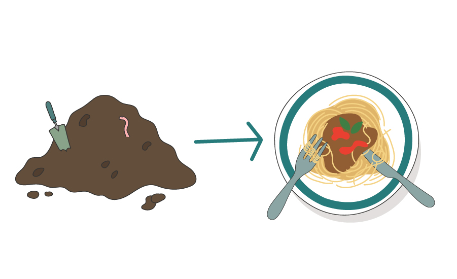 Från jord till bord