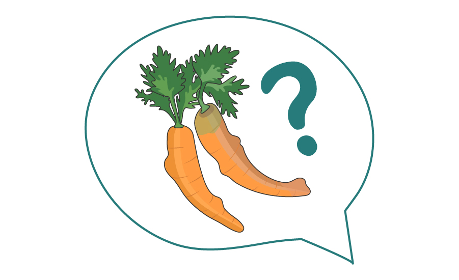 Moraliska aspekter av matsvinn