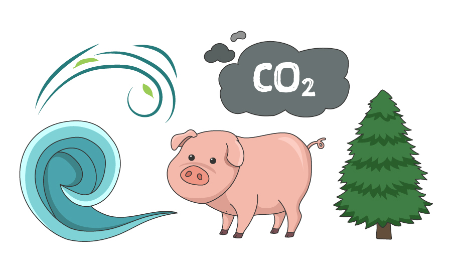 Vad är hållbar mat?